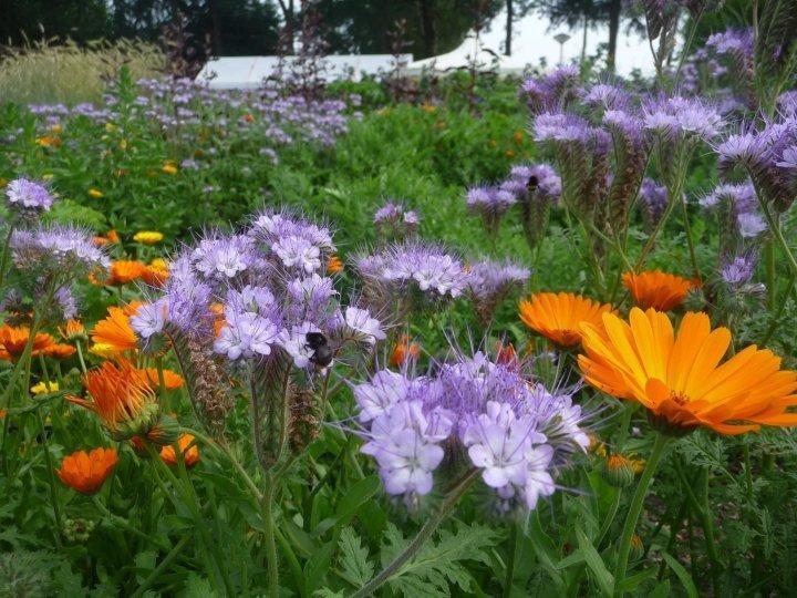 Bed En Breakfast Het LooBergeijk エクステリア 写真